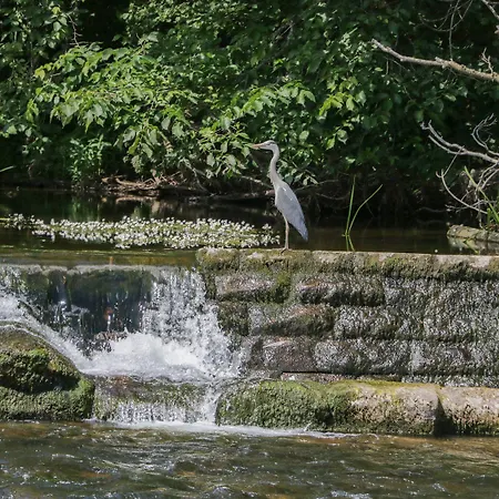 Thacka Beck Retreat At Eamont Park Casa de Férias *